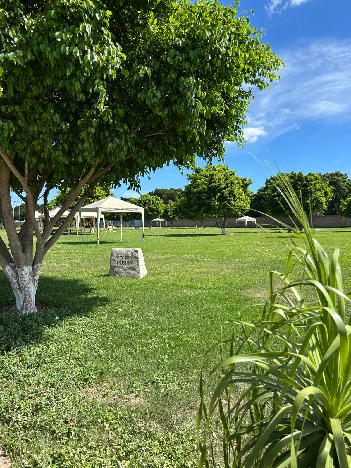 Áreas Verdes