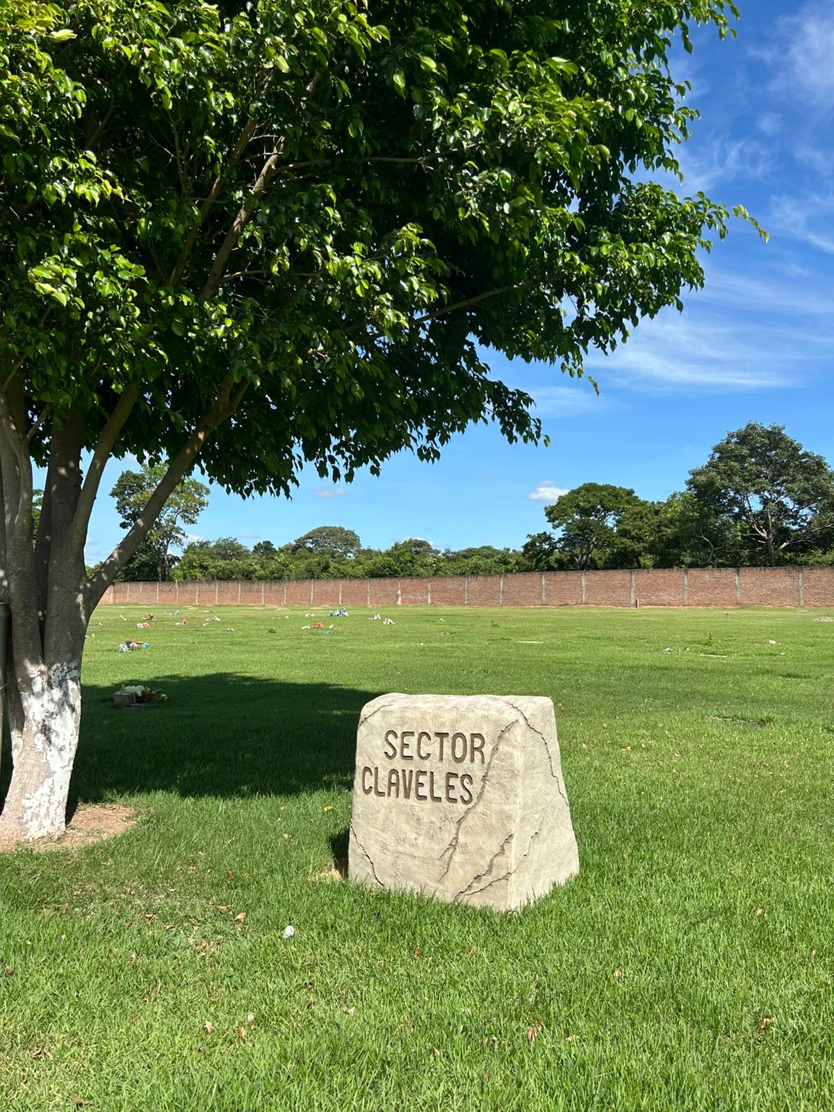 Sector Claveles